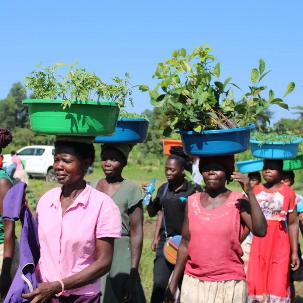 2025 In Review: Measured Growth and Meaningful Impact 